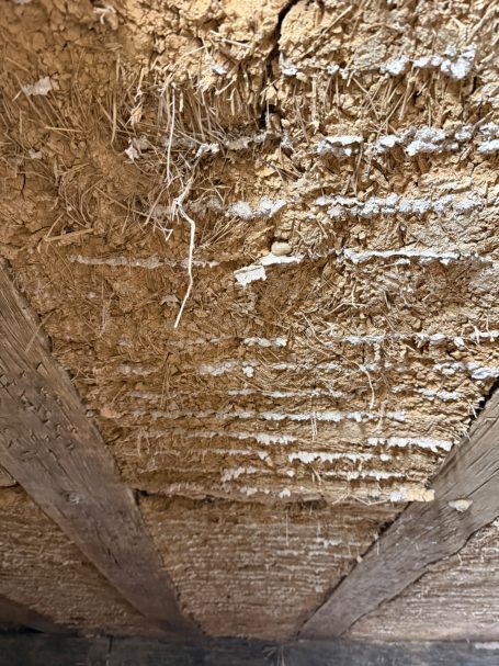 Decke Nöllhaus Decke Nöllhaus